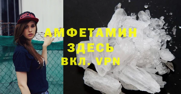 шишки Заволжск