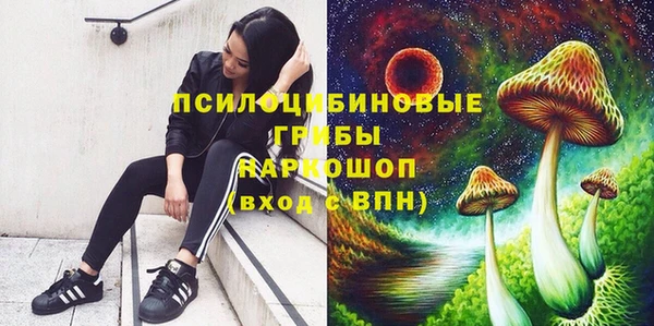 шишки Заволжск