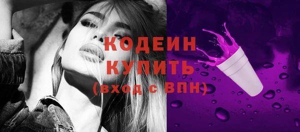 шишки Заволжск