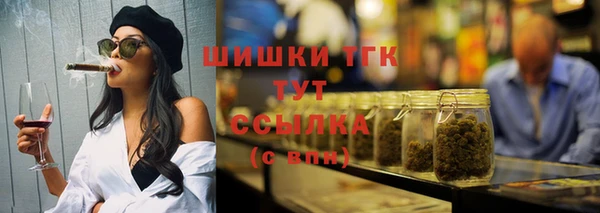 сатива Заводоуковск