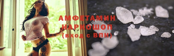 сатива Заводоуковск