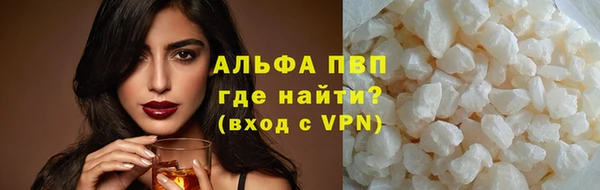 сатива Заводоуковск
