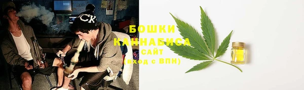 шишки Заволжск