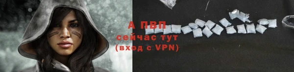 сатива Заводоуковск