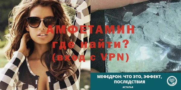 сатива Заводоуковск
