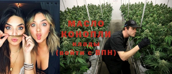 шишки Заволжск