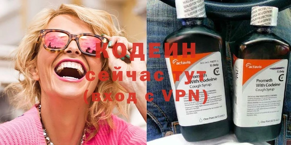 сатива Заводоуковск