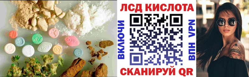 купить наркотик  Кинешма  Лсд 25 экстази ecstasy 
