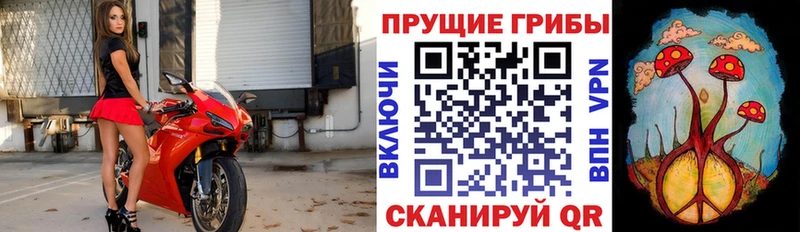 Псилоцибиновые грибы ЛСД  мега зеркало  Кинешма 