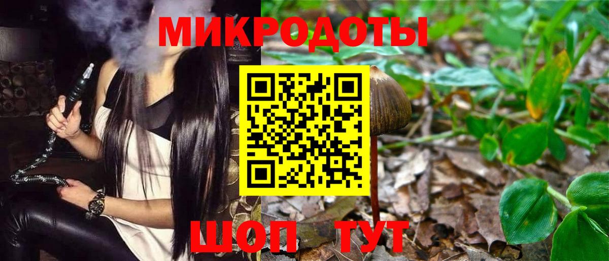 Галлюциногенные грибы мухоморы Кинешма