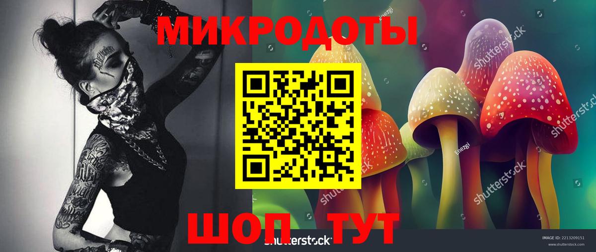 где можно купить наркотик  Псилоцибиновые грибы Magic Shrooms  Вход с VPN  Кинешма 